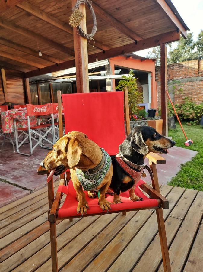 Cabana La Herencia Villa San Salvador de Jujuy Dış mekan fotoğraf
